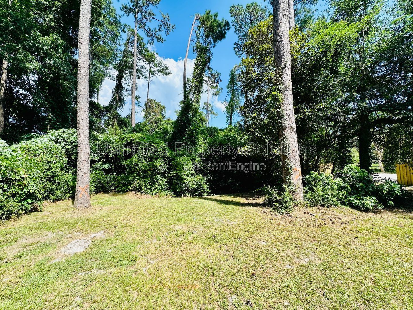 BONHAM AVENUE - 4 Bedroom - UNCW and CFCC Students Welcome property image