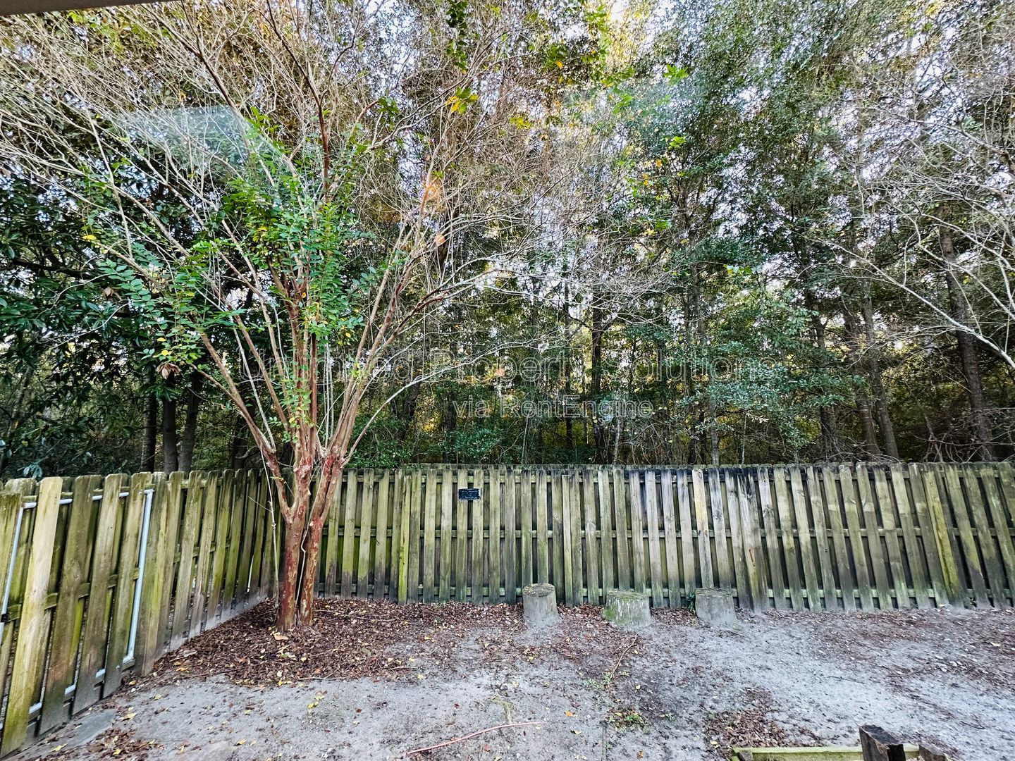 CARLETON PLACE - 3 Bedroom/2 Baths - UNCW Students Welcome! property image